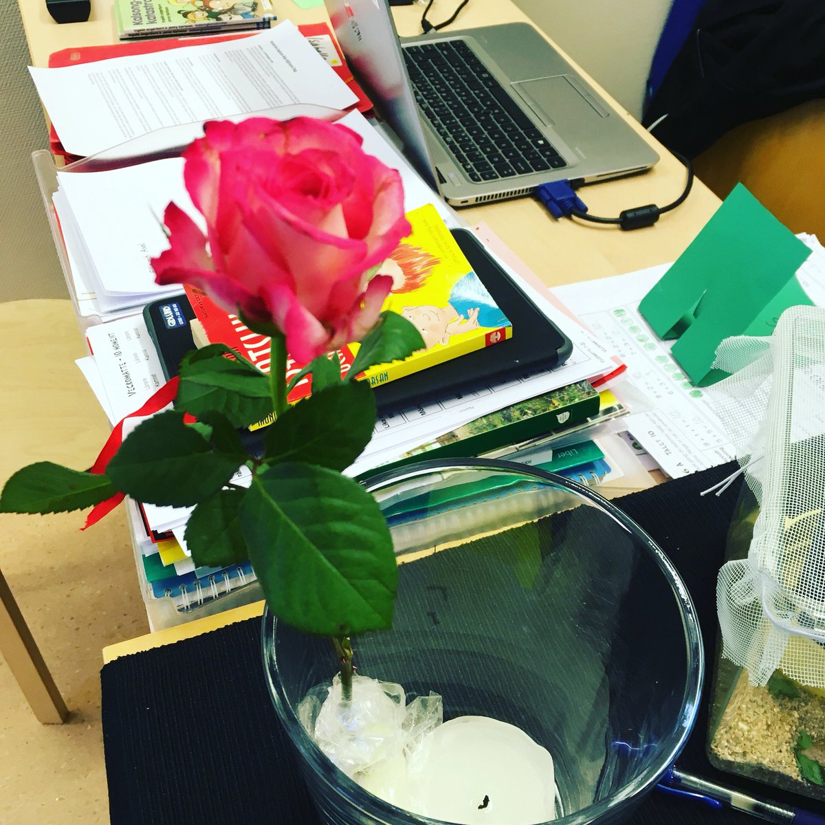 ulvigi's tweet photo. Bekräftelse på att man är en bra lärare! #årskursett #sandsbroskola #goaungar https://t.co/bRc18X0jiu
