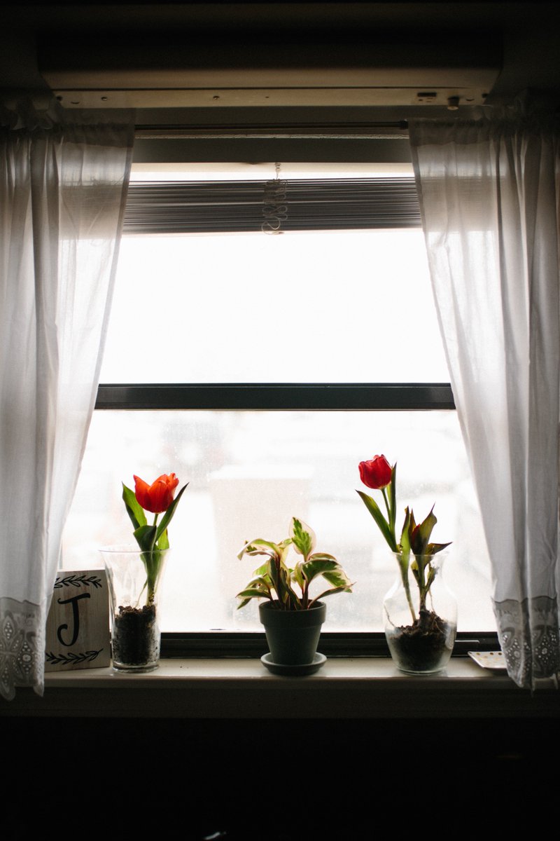 jacobsjolly's tweet photo. Mornings with my valentine are the best. https://t.co/SZ1l7U7wo3