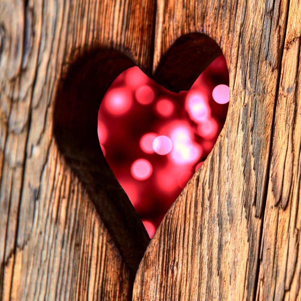 Happy Valentine's Day! Give us a call to give your loved one new custom cabinets. 
#woods #woodscabinets #cabinetinstallation #customcabinets #kitchencabinets #bathroomcabinets #dencabinets #colorcabinets #builtins #cabinets #valentinesgift #happyvalentinesday