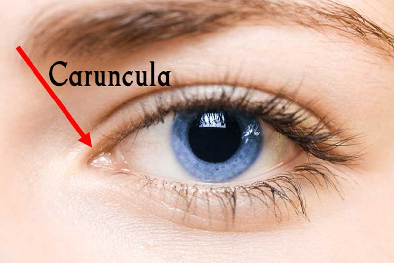 overview for robi_robi_art