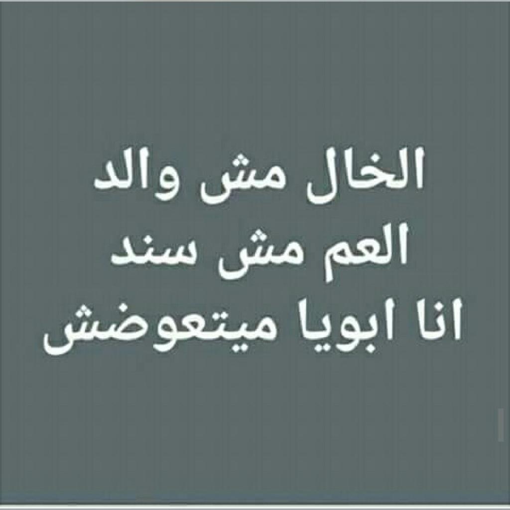elshpel tweet picture
