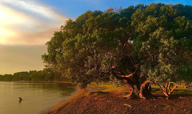 Nigel Paterson tweet media