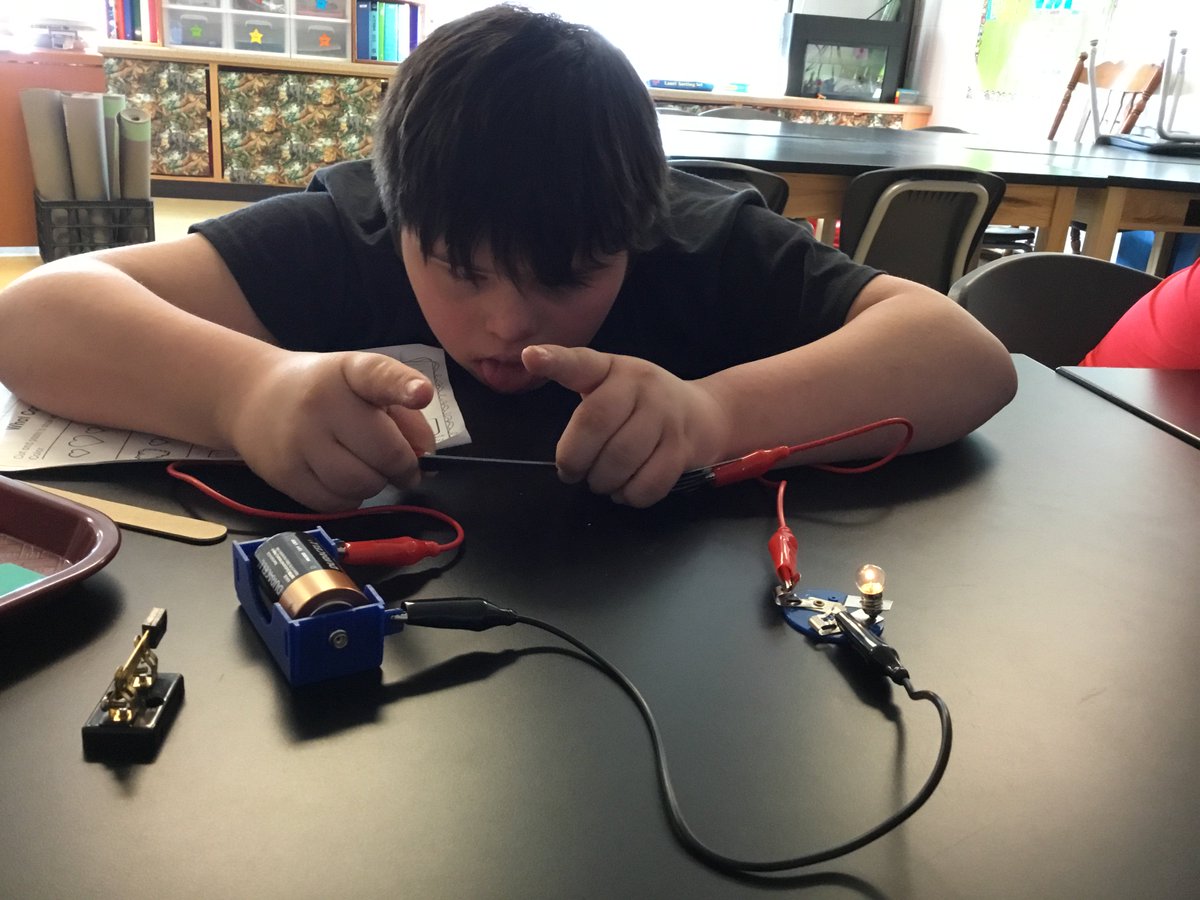 LakelandMS's tweet photo. Conductors and insulators. #lsbutterflies https://t.co/MCPLpyea8D