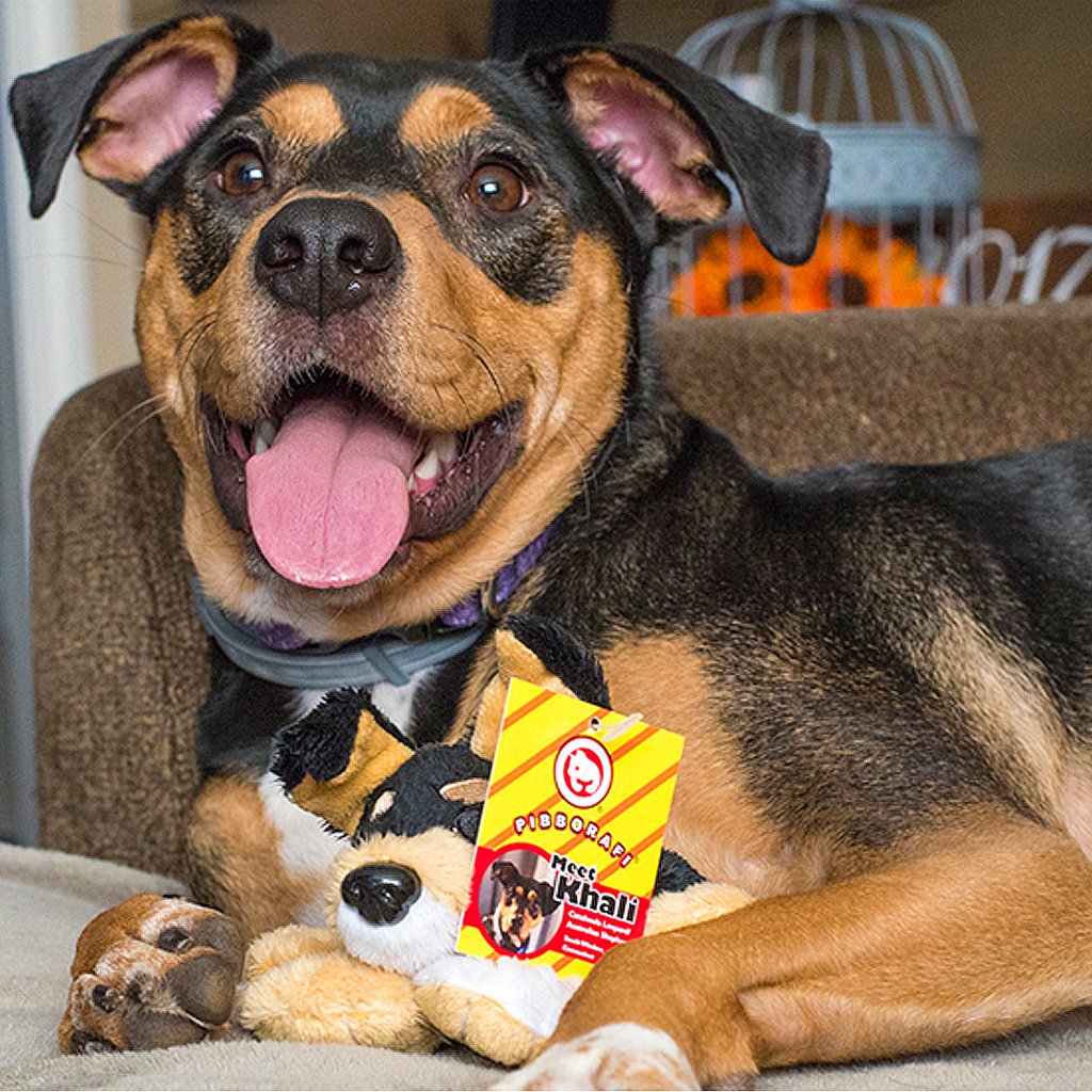 Pibborafi's tweet photo. Step 1: Post a pic of your dog on Instagram.
Step 2: Get that pic selected by us.
Step 3: Get your dog created as a cute plush toy that you get with free shipping.
Step 4: Watch as that toy gets added to a collection of plushes designed after peoples real rescued dogs. https://t.co/4N9rLxTmpV