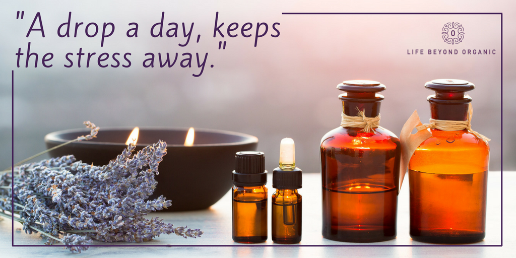 LBorganic's tweet photo. The first step to any healthy lifestyle begins with the mind before the body. Alleviate and treat stress with these 11 essential oils.
https://t.co/O6YiCeWm5c
#oils #essentialoils #essential #essence #life #tip #tips #health #lifestyle #love #live #mind #body https://t.co/mgpP3hMyqH