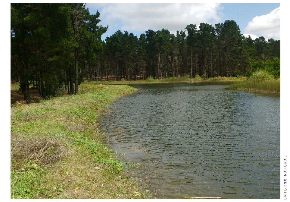 El bosque es el área de mayor extensión y está distribuida, protegida y valorizada en la totalidad del emprendimiento. #Villarobles #TuLugar