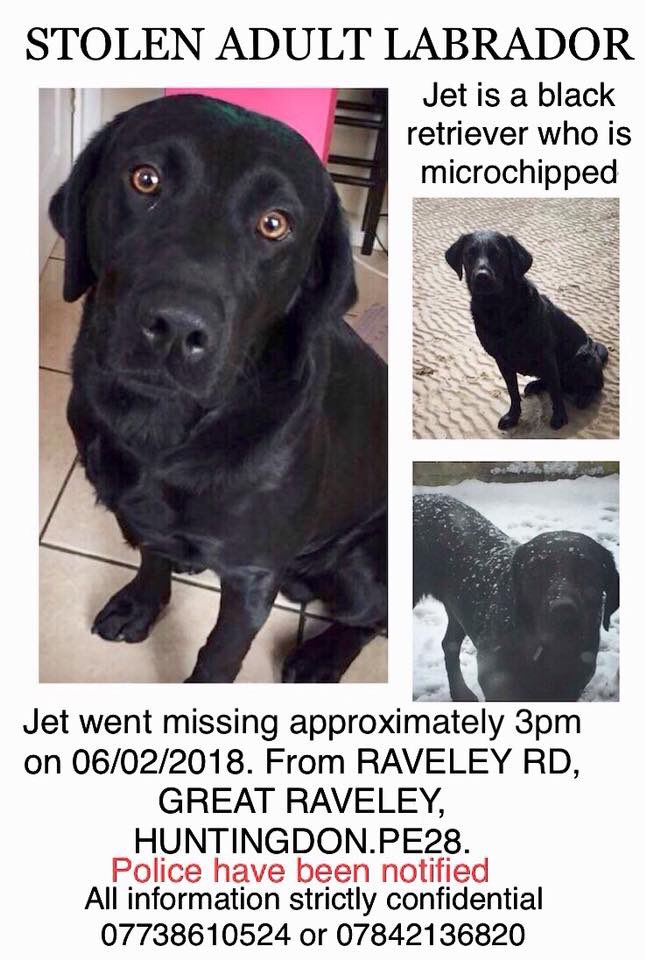 Forgetmenotted's tweet image. 