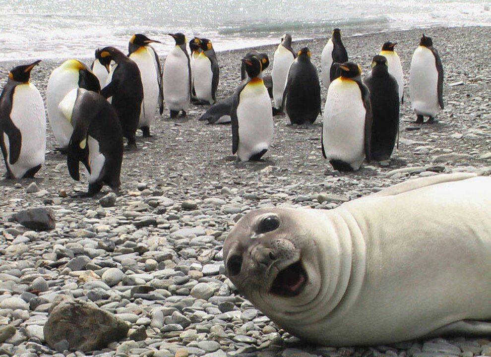 Alacridad Alacridad Twitter twitter