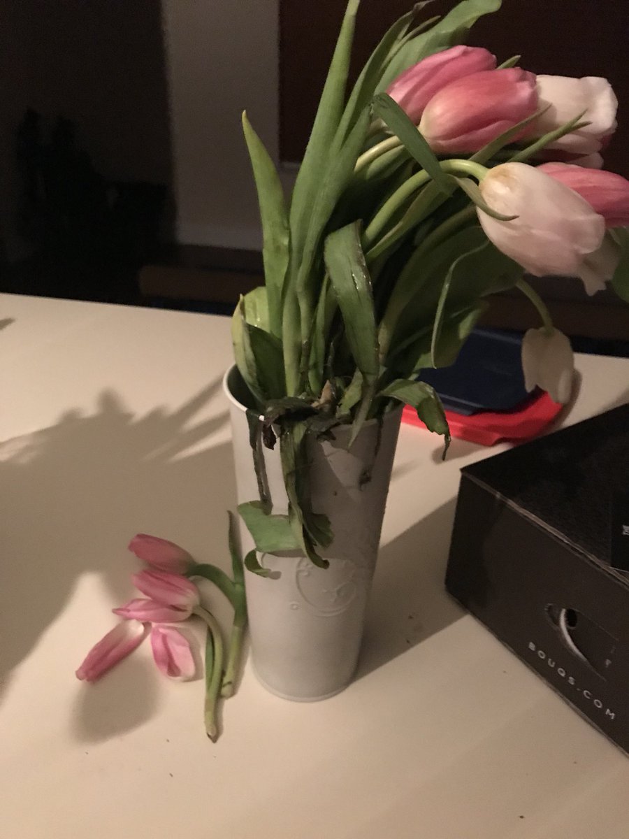 GtRGreG1972's tweet photo. @TheBouqsCo , heard your ad on Howard stern , ordered 100$ worth of flowers for my wife for Valentine’s Day , open the box and already rotting , never again and I will spread the word to never buy from you . You advertise freshest flowers and they arrive rotting away and falling https://t.co/0TDvD8kazN