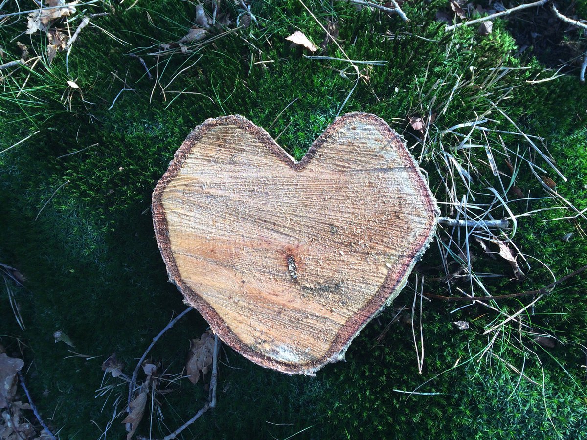 ManoukSchrander's tweet photo. Wat hout je bezig? #Valentijnsdag is gewoon een woensdag. Hopelijk viel het ook bij jullie mee;) Bij het weg zagen van #stormschade kwam ik deze leuke tegen:) soms stuit je zomaar op iets moois💚 Fijne avond! #staatsbosbeheer #liefdevoordenatuur #ikhoutervan https://t.co/uIaPqLnbUr