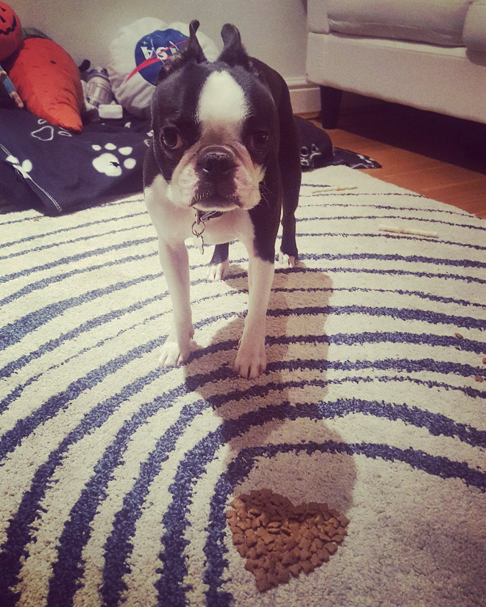 AlexHelenMac's tweet image. Happy Valentine&apos;s day! Trialling #ImageDescriptions for #VisuallyImpaired Twitter friends.  @g_hellowell I&apos;d really appreciate your feedback - good or bad so I know what to do on future posts 🤘