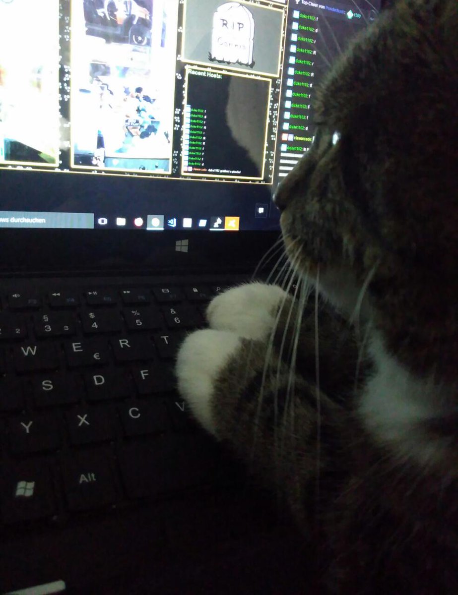 duke1102's tweet photo. Cats are gonna take over the world, I tell you! My cat is figuring out how to use a computer right as we speak. Fear the future! #Catocalypse https://t.co/3FnvOi43Hh