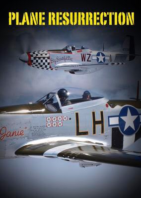 AkshatSharma_'s tweet image. Check out “Plane Resurrection” on Netflix netflix.com/title/80133317…