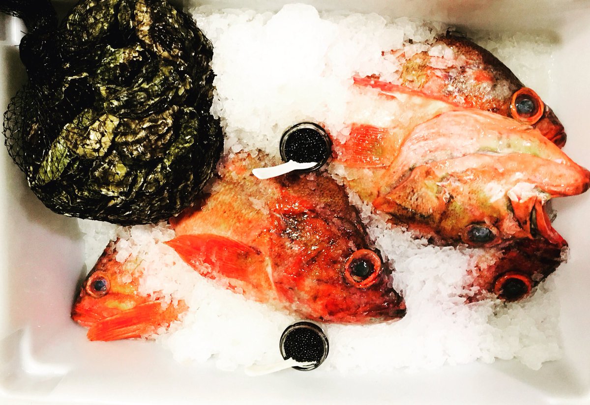 Caliman8's tweet photo. A chefโs valentines...
#vermillionrockfish #caviar #miyagioysters
#chefsvalentine #valentinesday #kitchentape https://t.co/IT5fA0jHz9