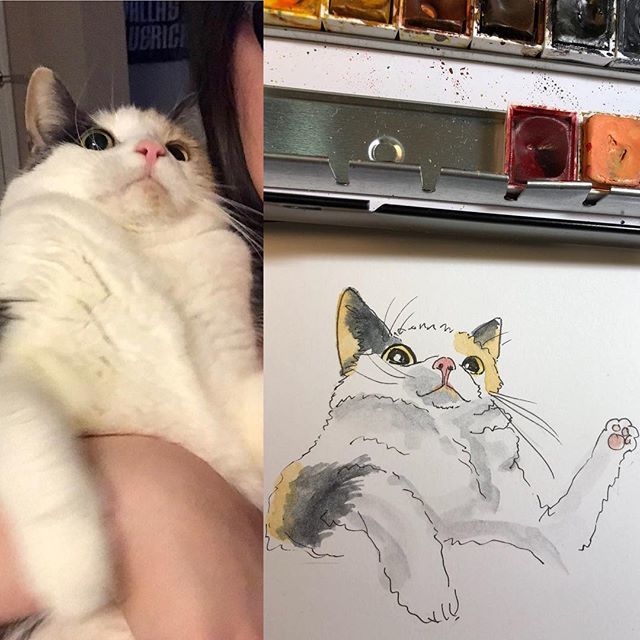 LiyanaStudio's tweet photo. please do not take pic of me---cat
.
.
.
.
.
#catselfie #awkwardcat #weirdcat #calicocat #catmoment #sketchdaily #catart #catdrawing #catpainting #catdoodle #liyanasketch #liyanastudio #nopictures #wednesdayvibes #wednesdaynight #catfail #catdad #catlife๐พ https://t.co/LpGl2BuiuA https://t.co/pKJLq36DmX