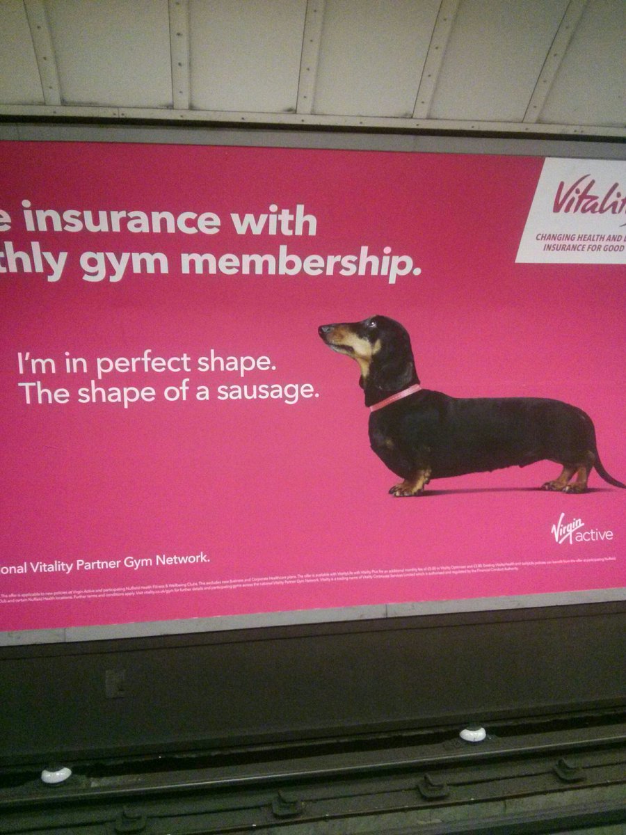 Dr Mark Evans (@markevanstv) on Twitter photo Please <a href="/Vitality_UK/">Vitality UK</a> As a company focussed on health and wellbeing, help us fight deformity and disability in dogs. Join the growing number of big brands pledging not to use dogs with welfare-compromising physical deformities in ads and promotions. Thanks :) <a href="/BritishVets/">BritishVets</a> Please <a href="/Vitality_UK/">Vitality UK</a> As a company focussed on health and wellbeing, help us fight deformity and disability in dogs. Join the growing number of big brands pledging not to use dogs with welfare-compromising physical deformities in ads and promotions. Thanks :) <a href="/BritishVets/">BritishVets</a>