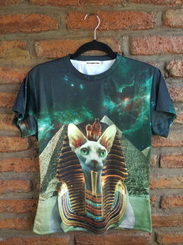 psicopoleras's tweet photo. Polera modelo Egypt https://t.co/73dNFQfgNK https://t.co/lUkoxh5csB