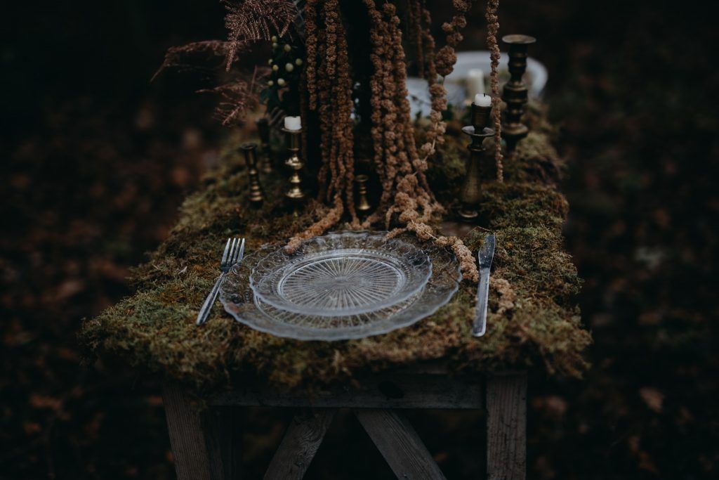 PlanWithToast's tweet photo. So, what have you guys been up to this month? We've been falling in love with all things alternative and quirky!  Have you seen the wild Woodland styled shoot on our blog, featuring our vendors @FoxglovesAlice and Upthorpe Wood? #weddinghour

https://t.co/NsRXrprhWZ https://t.co/nWkbQcF7c5