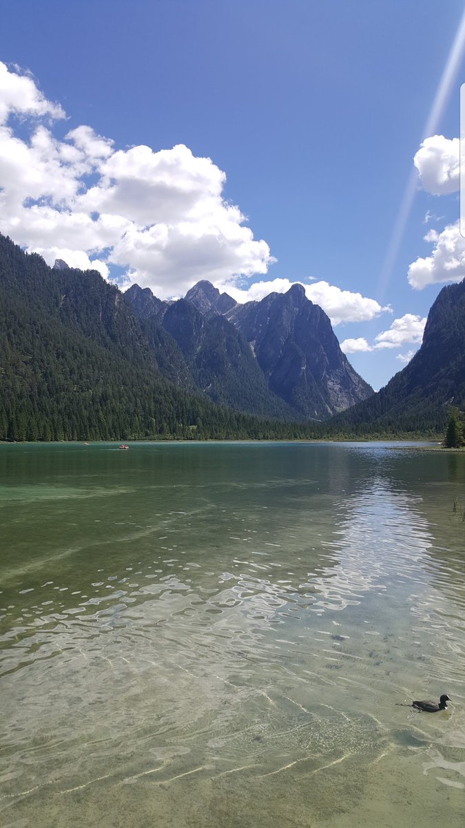 Sala7Als3eed's tweet photo. بحيرة Toblachersee أو lago di dobbiaco
في شمال إيطاليا تقع في منتزه الحياة البرية في الطريق لبحيرة ميسورينا بالقرب من قرية دوبياكو وسان كانديدو .. تمتاز بصفاء الماء وهدوء المكان
يخدمها فندق ومطعم وبها تأجير قوارب ومواقف
👇
إحداثياتها :
N 46 ° 42 . 355 🇮🇹
E 012 ° 13 . 077 🇮🇹 https://t.co/vxFyW854CK