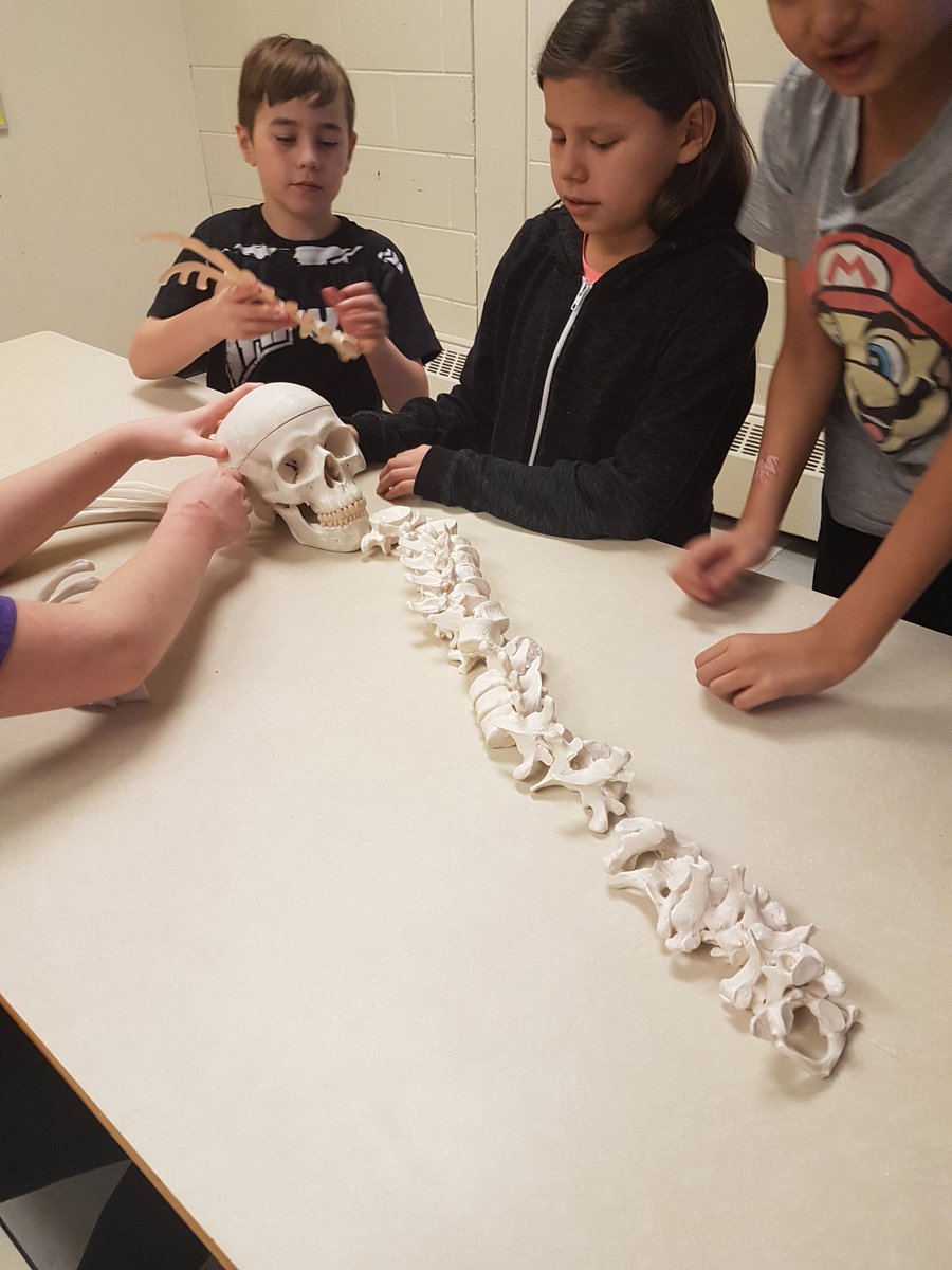 msangeleau's tweet photo. What a great morning learning "All About Me". Definitely some budding scientists in room 25! https://t.co/NEuwJJ8qo7