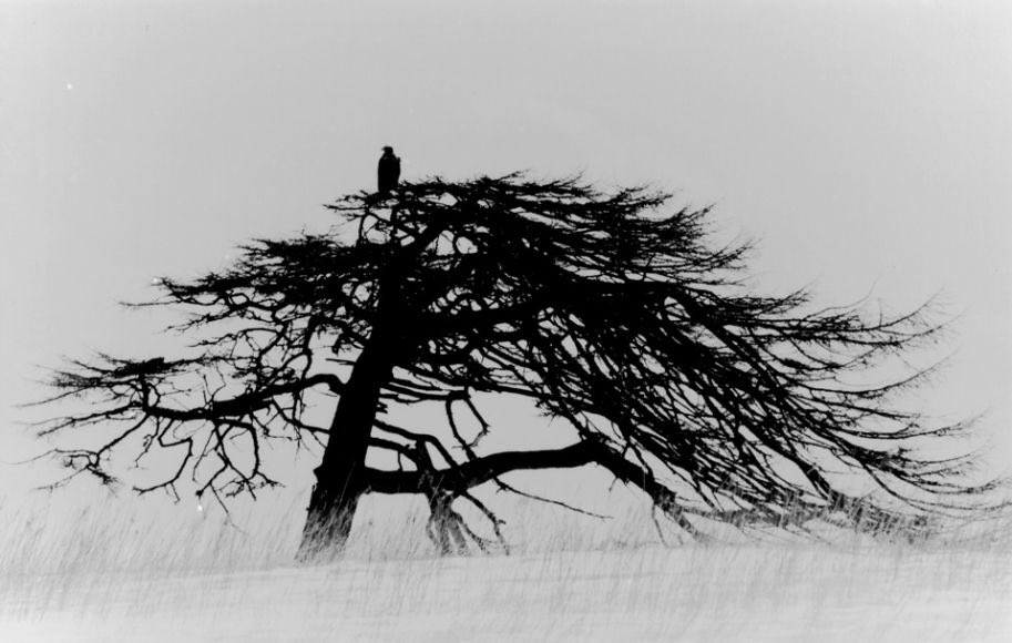 -Avoir l'esprit de contradiction et l'esprit critique, c'est bien, sauf si c'est pour automatiquement tout dénigrer en faisant preuve ''de peu d'esprit "...ROB'