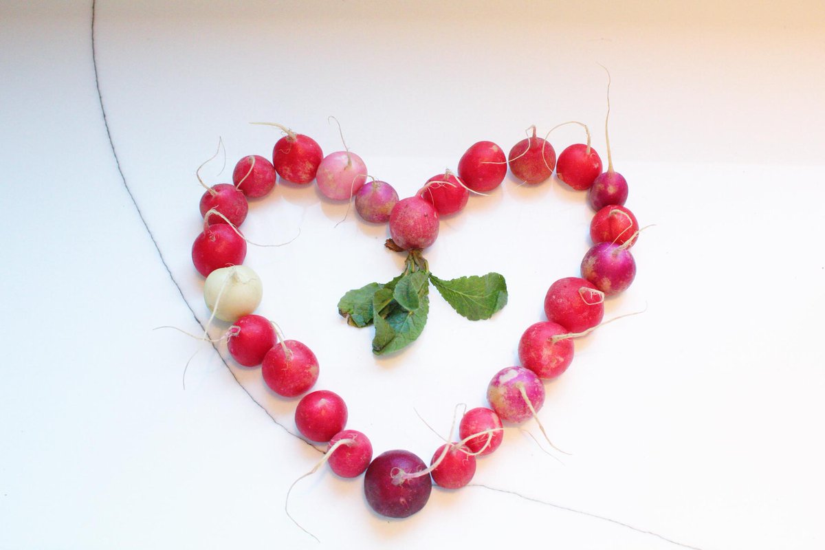 CHLI360Health's tweet photo. Darling, you look simply radishing!  Happy Valentine's Day to you and your special someone. #happyvalentinesday #lovetolove https://t.co/FgXo8kDmDV