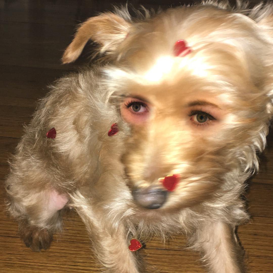 DailyWilla's tweet photo. [INSTAGRAM] “♥️valemtimes♥️” https://t.co/zsOcOYYDli https://t.co/YjPx2qMc4y