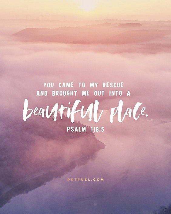 SandiH_eth's tweet image. “In my distress I prayed to the Lord, and the Lord answered me and set me free.”

Psalms 118:5 🧡#Jesus