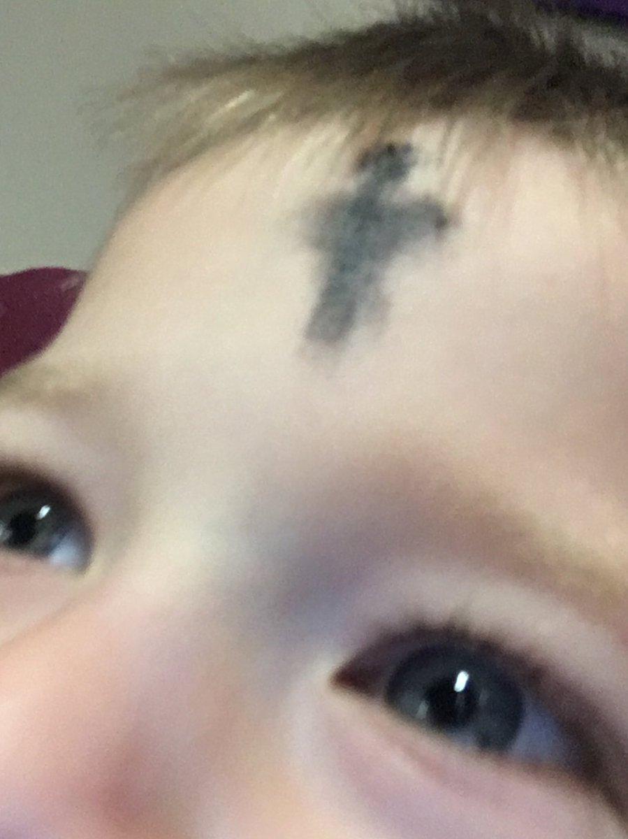 KristineStache's tweet photo. Death is not forever. Easter is coming. Hope abounds. https://t.co/CpXv8nX3DD
