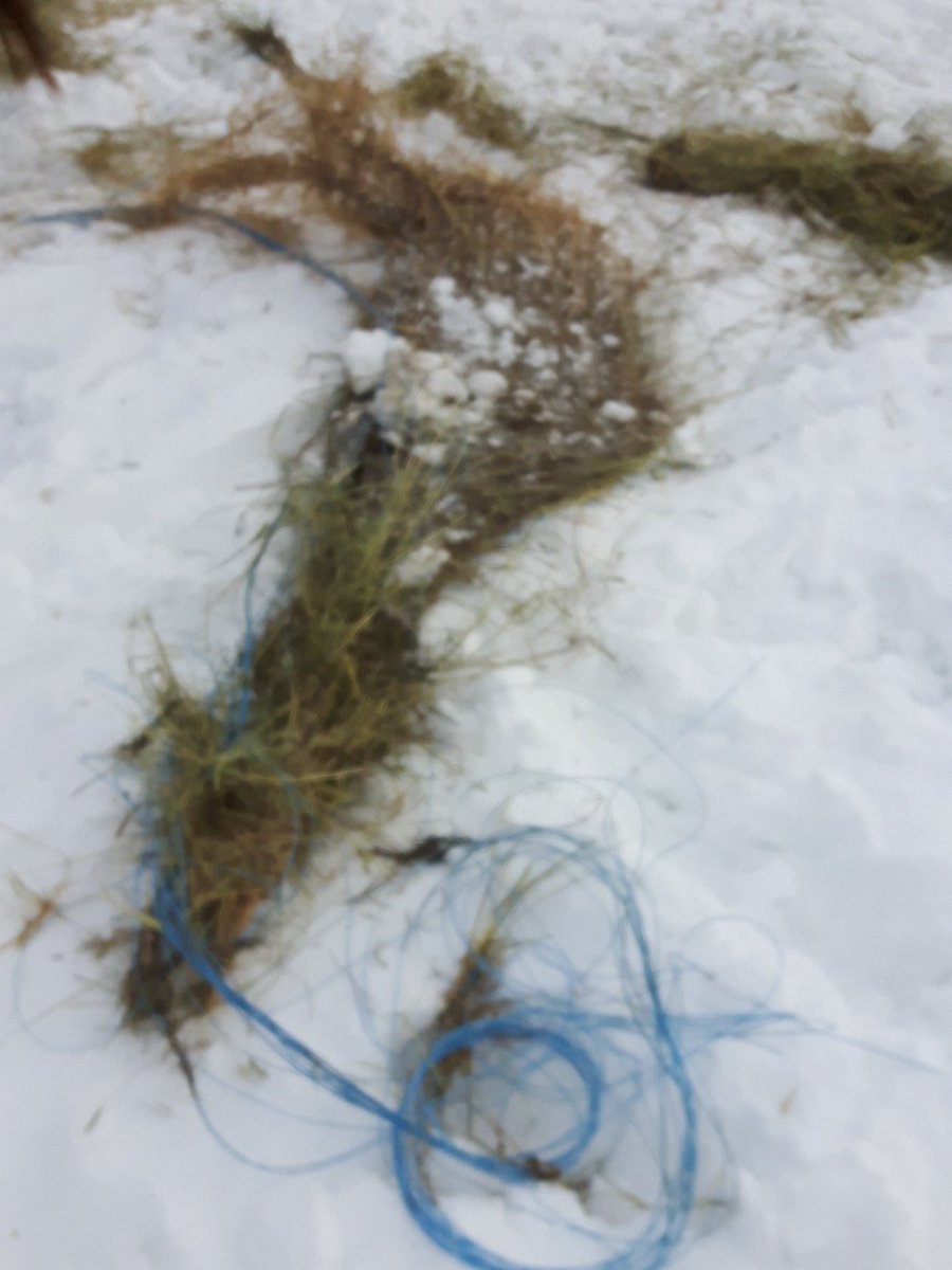 Craig Weisgerber tweet media