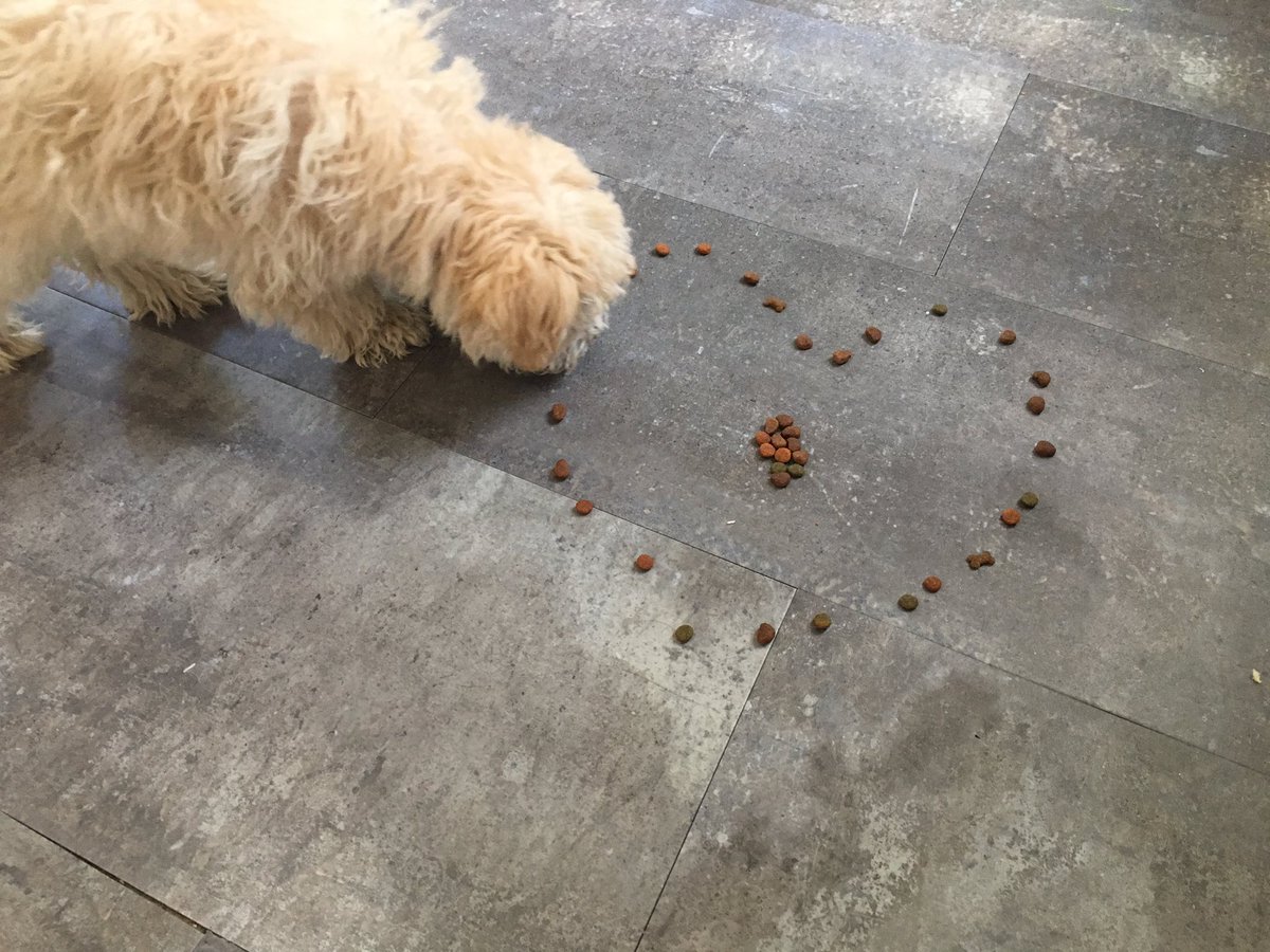 Happy ♥️day pamuk