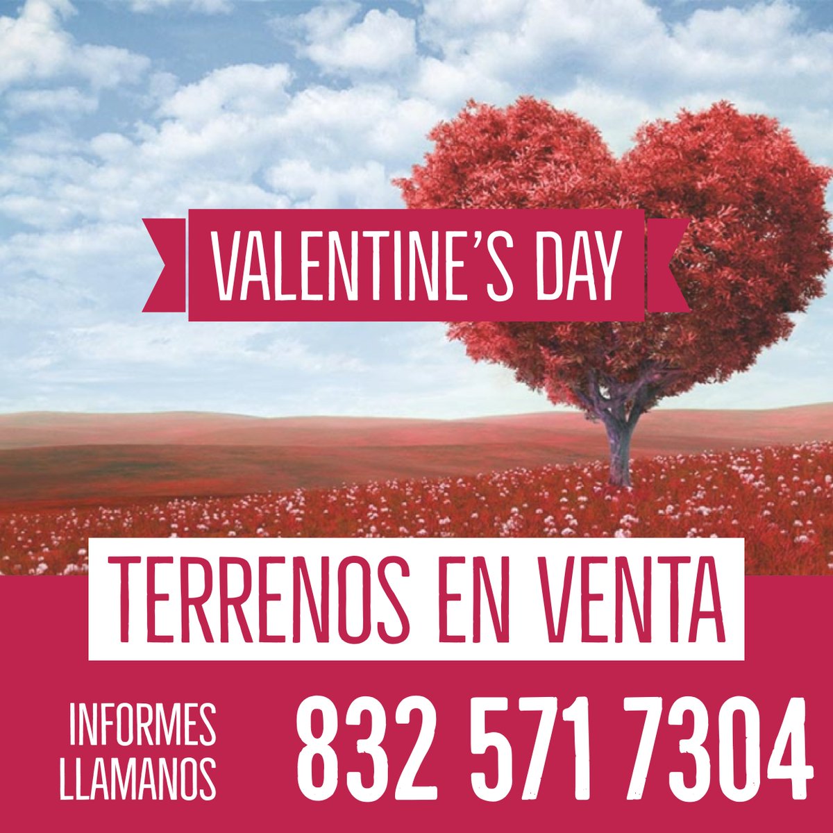 thlivetv's tweet photo. VALENTINE'S DAY
TERRENOS EN VENTA
LLAMANOS 832 571 7304 https://t.co/9ABFZQf4oC