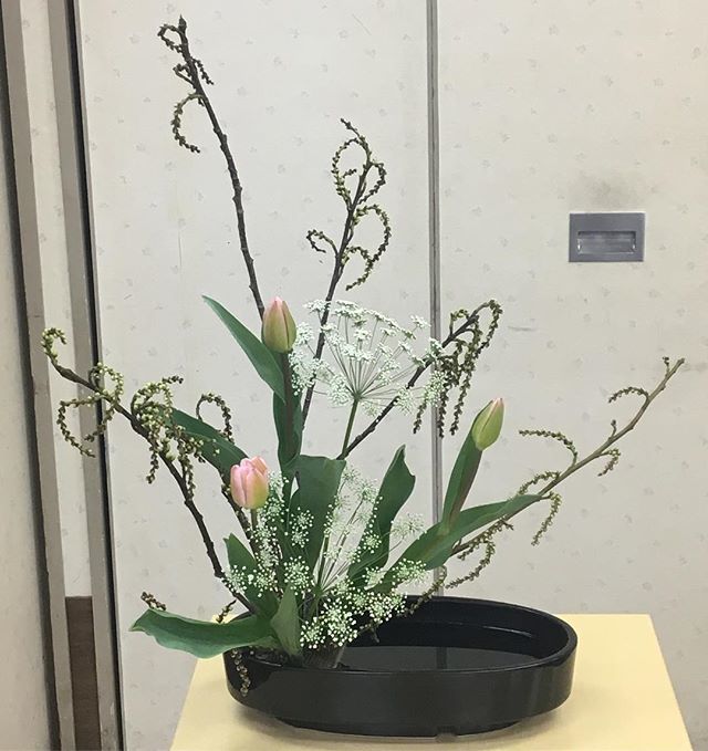きぶし きぶし