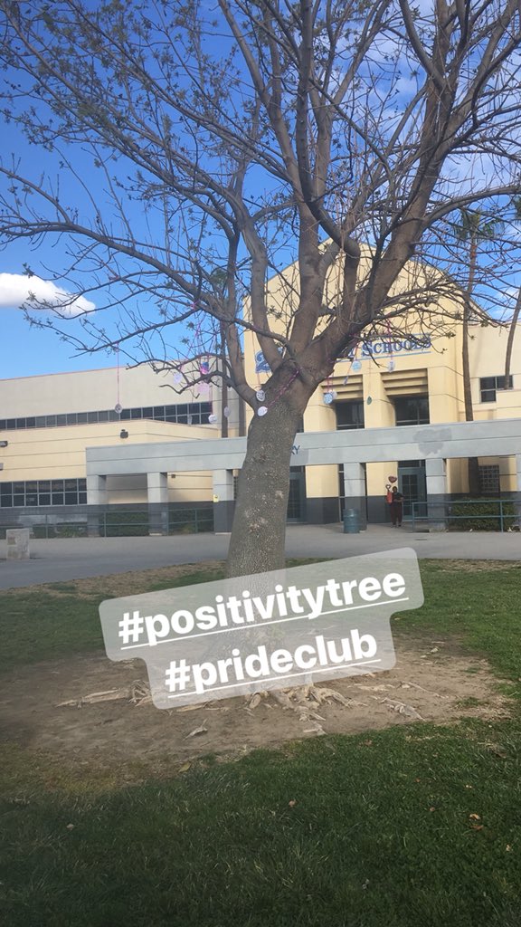 RHSPrideClub's tweet photo. Pride Club collaborated with Solid Rock to #spreadpositivity at the #positivitytree #rhsspreadpositivity #knightpride https://t.co/97pRFdUbwu