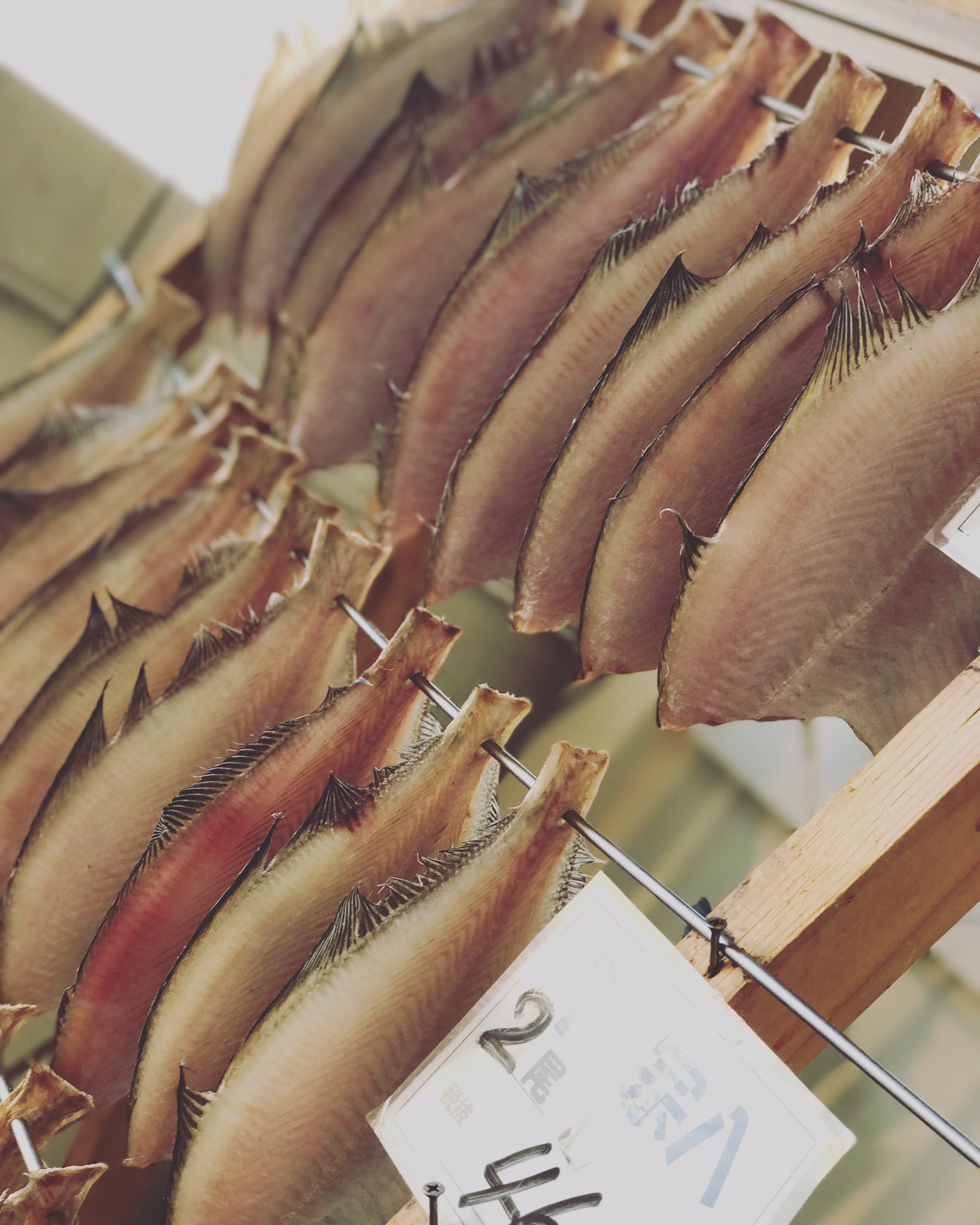 渡辺鮮魚店 宗八カレイ 北海道 室蘭 渡辺商店 鮮魚 海鮮 新鮮 刺身 干し魚 焼魚 煮付け ソウハチカレイ 宗八カレイ エテガレイ キツネガレイ 噴火湾 太平洋 美味しい 魚 室蘭公設地方卸売市場 市場 地方発送 フォロー 人気商品