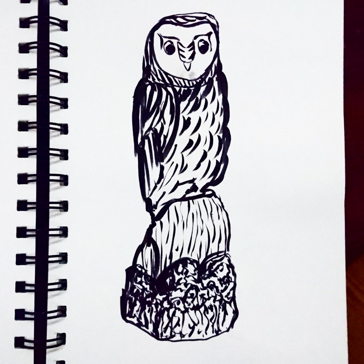 kati_lacey's tweet photo. Afew more #animalillustrations #barnowl #goldeneagle #Robin as part of my research for a #schoolposter https://t.co/0kMdpRgAvp