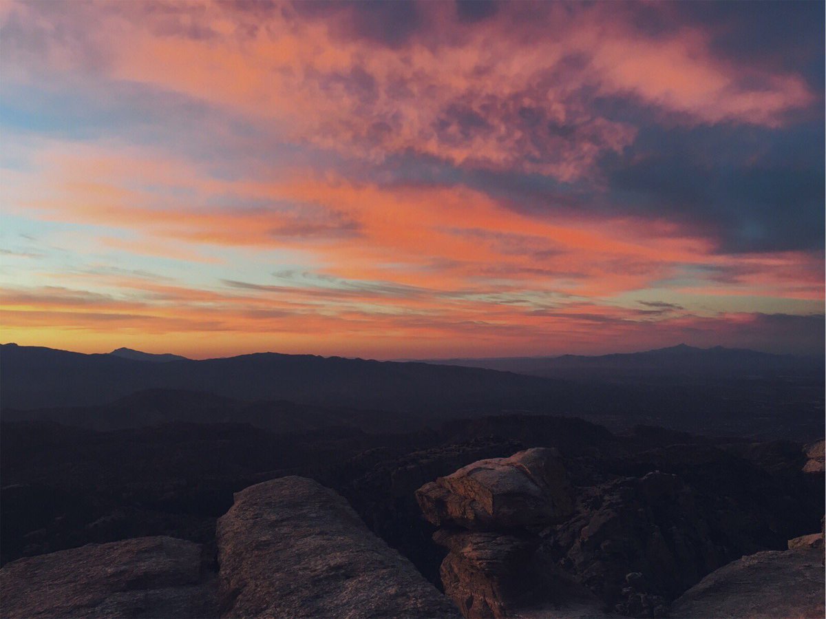 isabel_lanee's tweet photo. Happy Birthday Arizona.🌵☁️ #foreverhome https://t.co/WlxUXbJ3u3