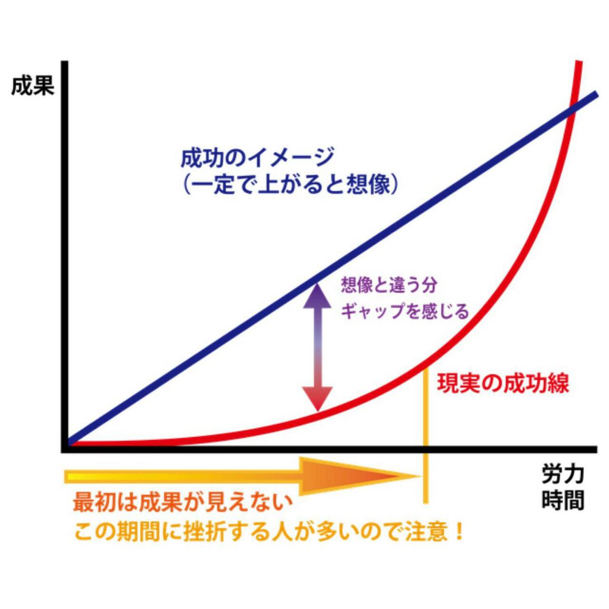 ソース画像を表示