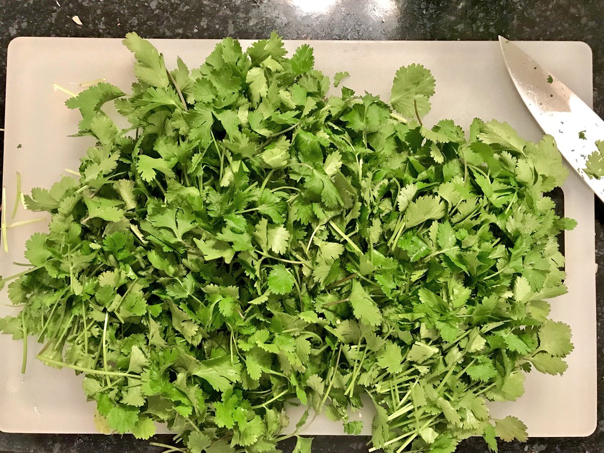 WildGameJack's tweet photo. A heap of cilantro ahead of @pheasants4ever annual Pheasant Fest and Quail Classic. Can’t wait to talk Tinga and converse about quesadillas. The wild kind, of course. https://t.co/uPCuaqt6EH