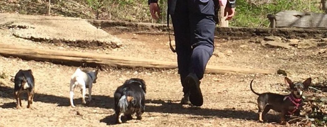 Willie Woo tweet media