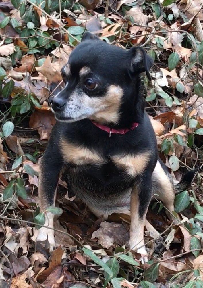 Willie Woo tweet media