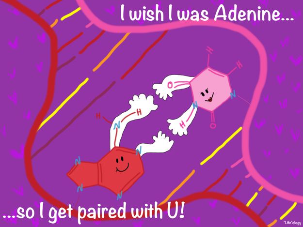 EntroGen's tweet image. Happy Valentine's Day!  Wishing you rapid heart flutters and sparks of chemistry when paired with the one you love!  How are you celebrating?  Share a pic below!