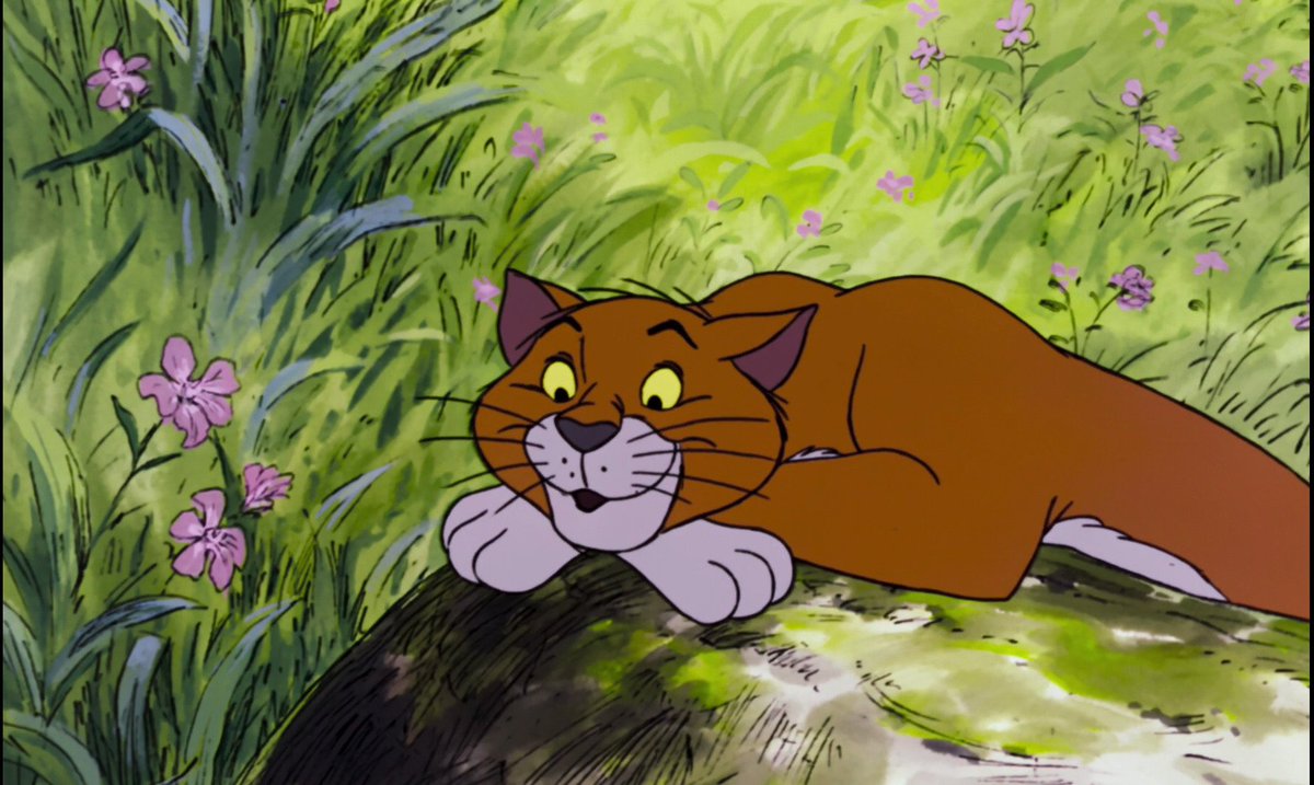 I'm Thomas O'Malley."
"Perish the thought."
"O'Malley, you're not a cat, you're a rat. Right? Right."
"Showbiz. It happens."
"Helping beautiful dame... uh, uh, damsels in distress is my specialty."

🐾#AlleyCat
🐾#AristocatsRP
🐾#Sweet&amp;romantic
🐾#StreetWiseAlleyCat
🐾#RT?