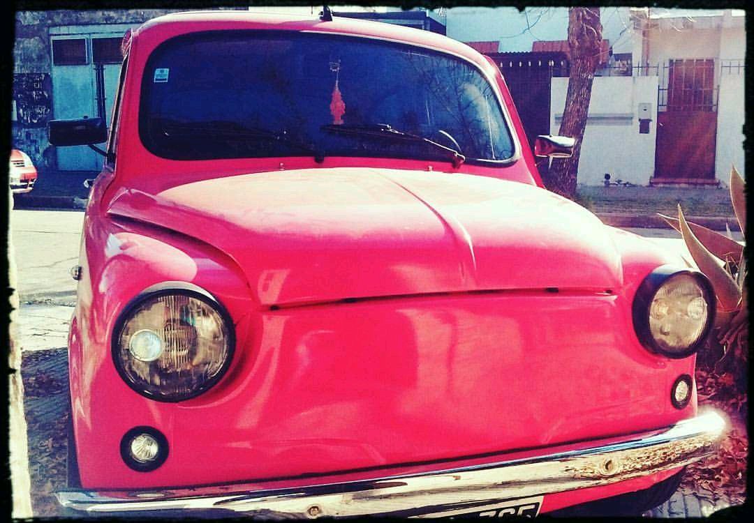 NoeRoth's tweet photo. Enamorada de tiii❤️❤️❤️❤️ 
#fiat600 #fiat600club #pasionxelfitito #locosxlosfitos https://t.co/Va0qS1E1vh