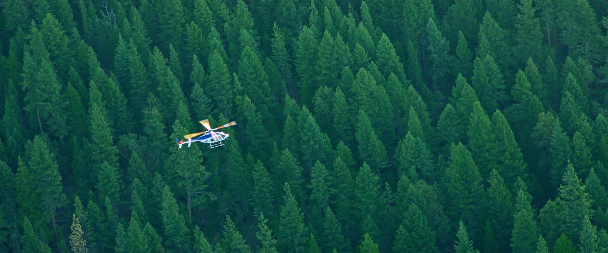 Jared Hail tweet media