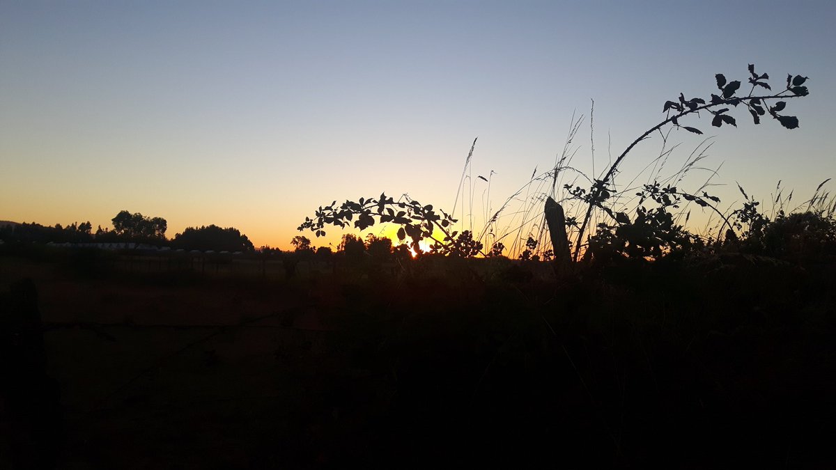 MCheguan's tweet photo. Atardecer en Pitrufquén https://t.co/XLEPgJdPsG
