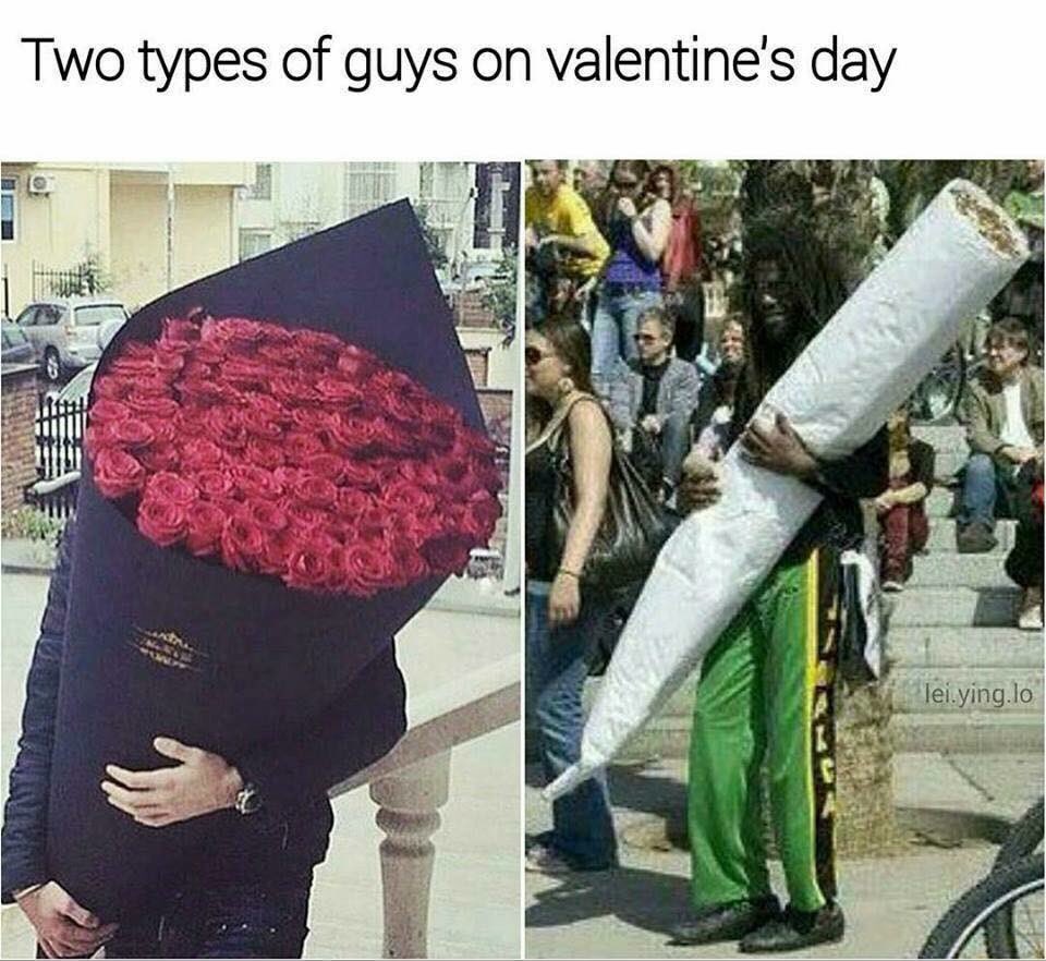 TheGreenDailyy's tweet photo. Which one are you? 😎 #staycrispy https://t.co/lp63M9TBBc