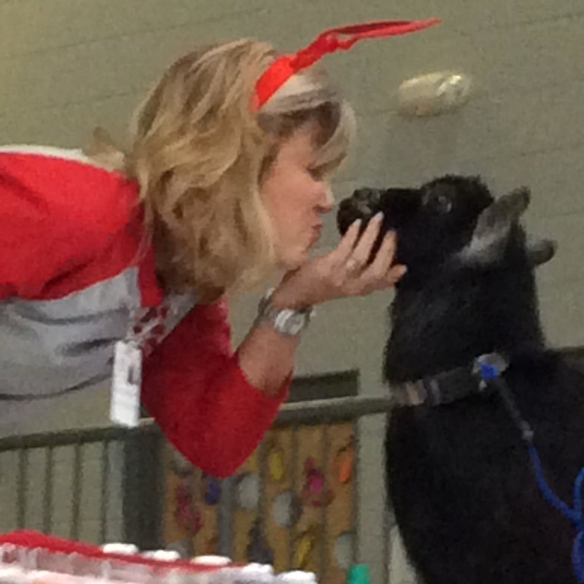 JennieLGraves's tweet photo. We had an awesome day at MSAW’s Jump Rope For Heart Assembly. No words needed. #Mrs.Graves #Mrs.Blanchard #Ms.Kember @JennieLGraves @LizKember @SBlanchard_43 @btroxc2_tro #thanksCoachAllen #MSAWproud https://t.co/wEddbi7FI9