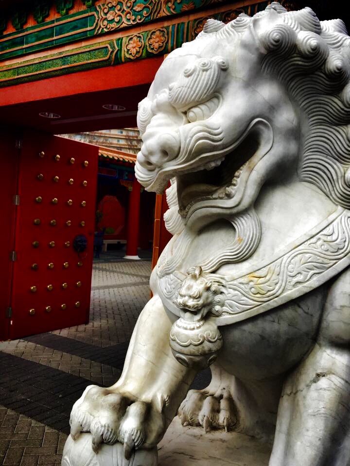 jenconroy75's tweet photo. Enter Dragon https://t.co/zy88wwH45Z