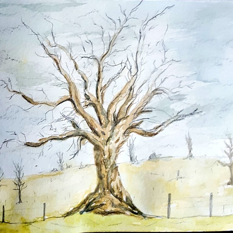 Trees. Had fun with this #watercolor.